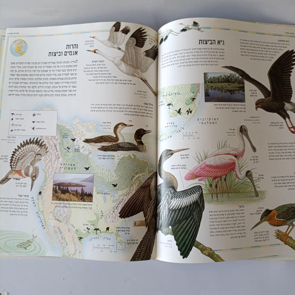 האטלס הגדול של הציפורים, הוצאת עם עובד, 1996