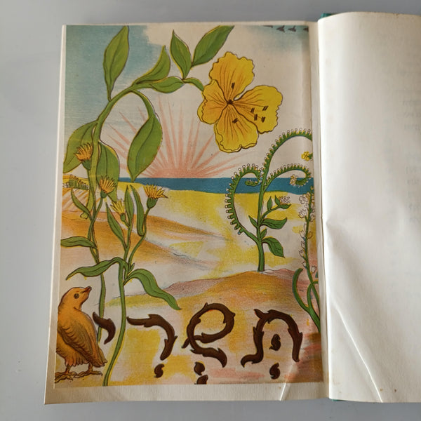 פרחי ארצנו בעונתם, א. שלמון, ציורים איזה