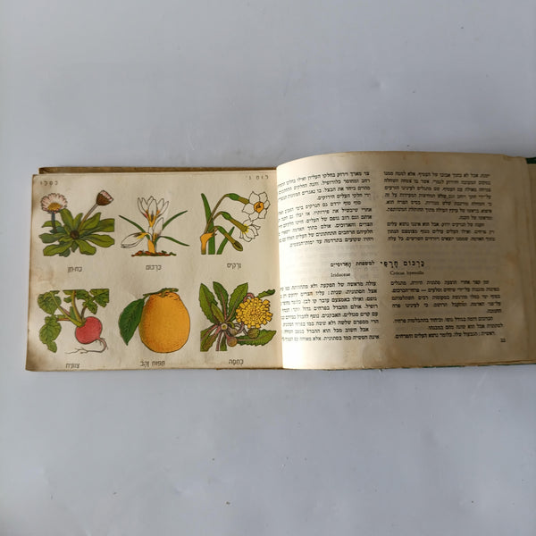 מצמחי הארץ, חודש חודש וצמחיו, סדר א', הוצאת גליונות ללימודי הטבע, נדיר