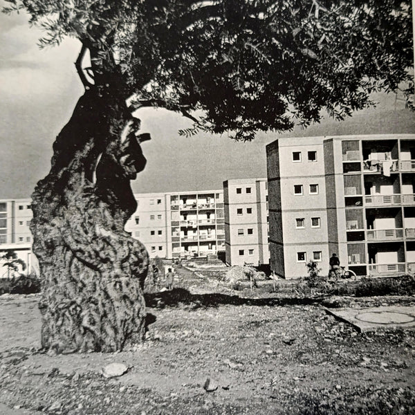 דיוקנה של מולדת, ספר צילומים של מראות הארץ ונופיה, בנו רותנברג, 1958