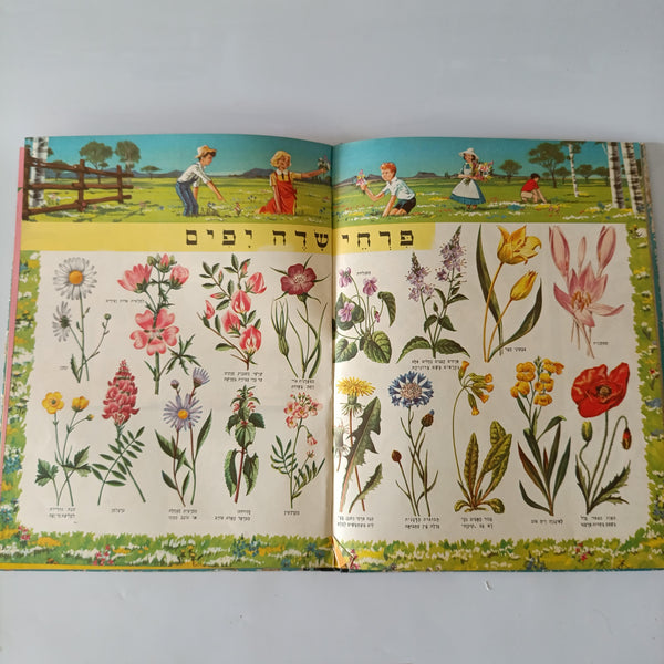 האנציקלופדיה שלי בצבעים, הוצאת מסדה, 1958