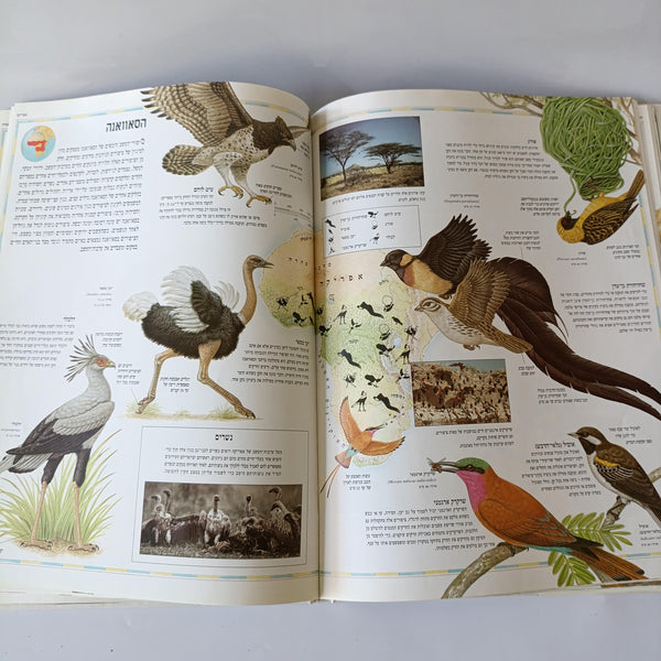 האטלס הגדול של הציפורים, הוצאת עם עובד, 1996