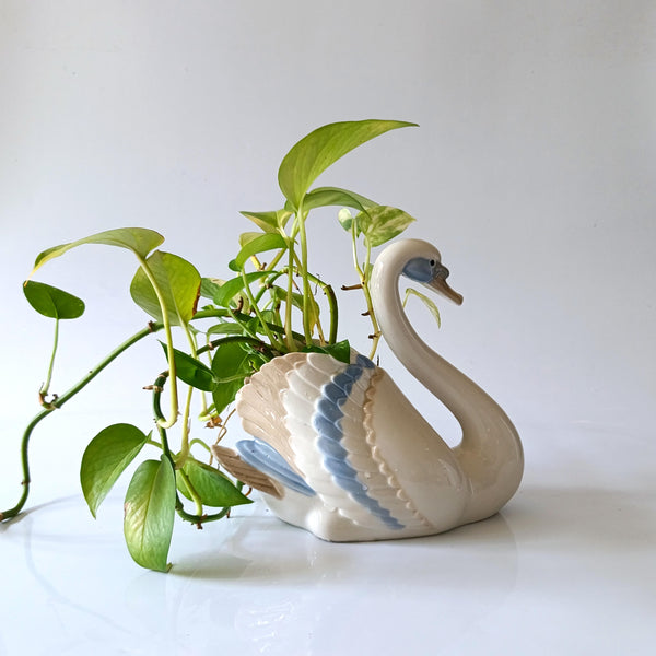 כלי לצמח/planter, חרסינה, וינטג' ספרדי