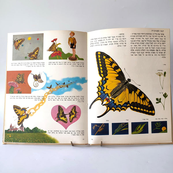 חיות בצבעים לילדים, ספרית השדה, 1970