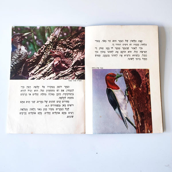 ציפורים ביערות גדולים,  ספריה מדעית חינוכית, 1965