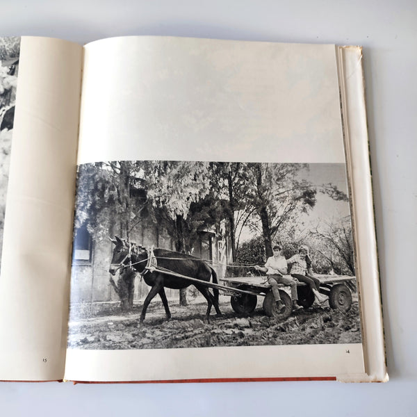 אלבום העמק, ספר צילומים של עמק יזרעאל, עם עובד, 1965