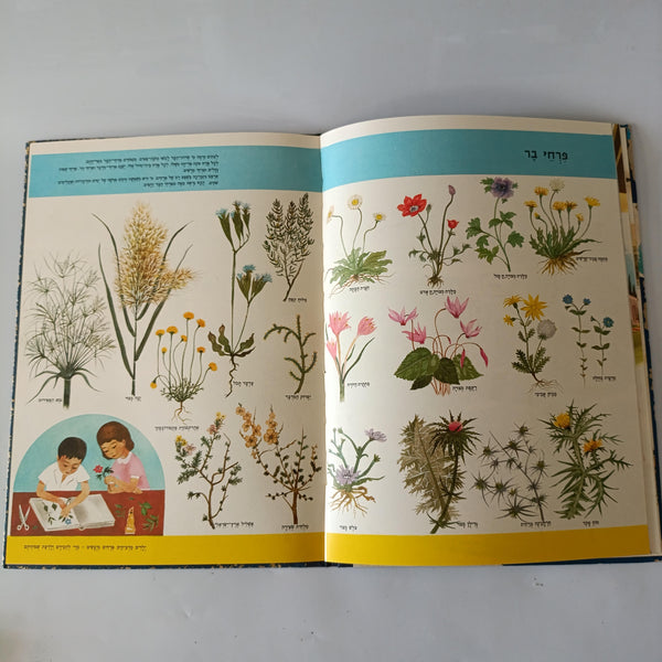 ישראל שלי, אנציקלופדיה לידיעת המולדת בצבעים, הוצאת לוין אפשטיין, 1964