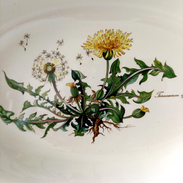 תבנית גדולה (33 ס"מ), בוטניקה, Villeroy&Boch, וינטג'