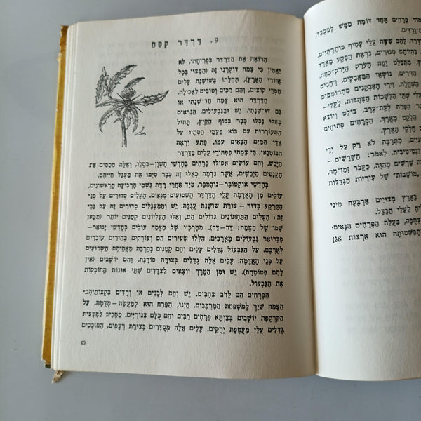 פרחי ארצנו בעונתם, א. שלמון, ציורים איזה