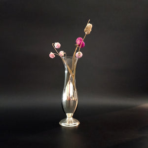Bud vase - זכוכית ומתכת Silver Plated, וינטג'