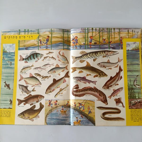 האנציקלופדיה שלי בצבעים, הוצאת מסדה, 1958