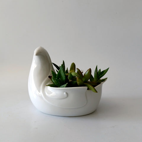 כלי קרמיקה לצמח, Planter, וינטג' דני, Dansk