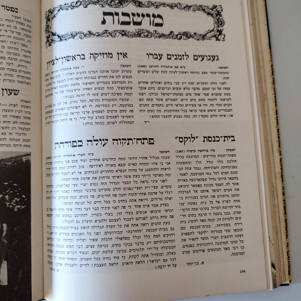 ארץ ציון ירושלים, דן בן אמוץ, שלמה שבא, 1973