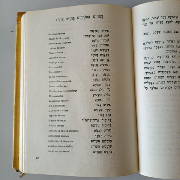 פרחי ארצנו בעונתם, א. שלמון, ציורים איזה