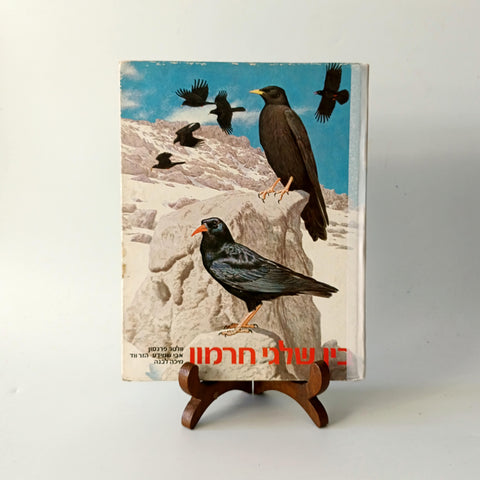 בין שלגי חרמון, איורים של הפרחים, הציפורים וחיות השדה שניתן למצוא בחרמון, איורים וולטר פרגסון