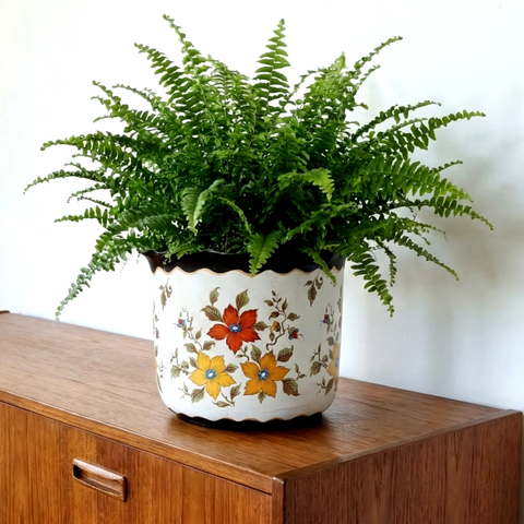 כלי גדול לצמח (קוטר 24 ס"מ), מעוטר בציור יד, וינטג' הולנדי, Goedewaagen Gouda