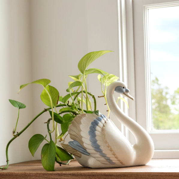 כלי לצמח/planter, חרסינה, וינטג' ספרדי