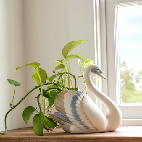 כלי לצמח/planter, חרסינה, וינטג' ספרדי