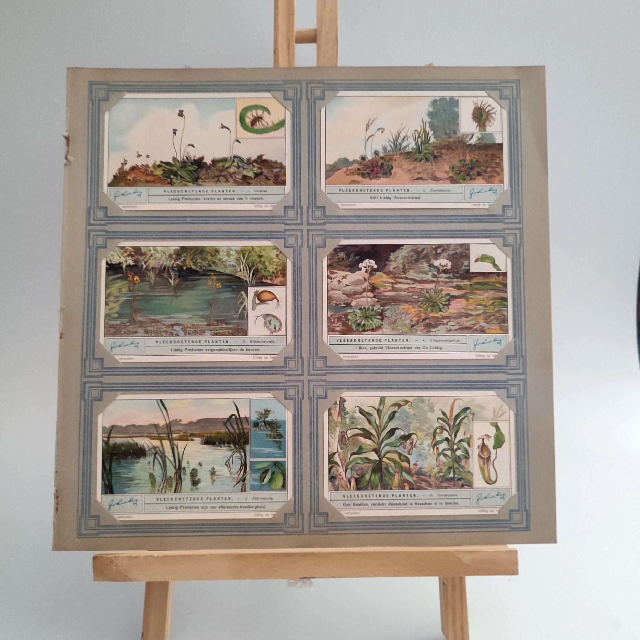דף למיסגור מס' 15, עם 6 גלויות העולם המופלא, וינטג' פלמי, שנות השישים