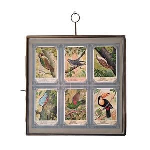 דף ממוסגר במסגרת זכוכית, עם 6 גלויות העולם המופלא, וינטג' פלמי, שנות השישים